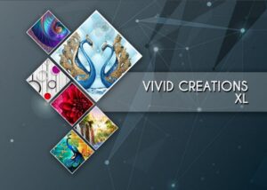 VIVID-CREATION-XL